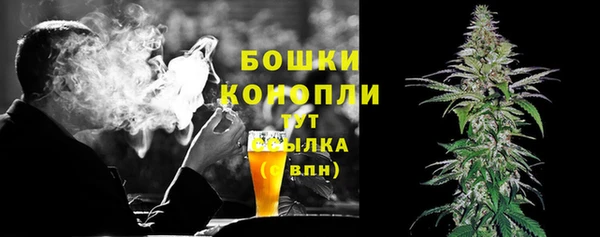 2c-b Горняк