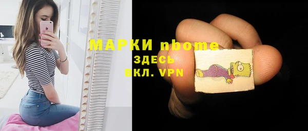 молекула духа Горнозаводск