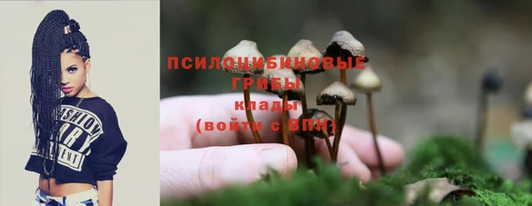 2c-b Горняк