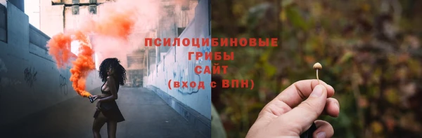 молекула духа Горнозаводск