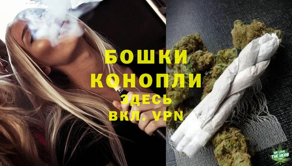 молекула духа Горнозаводск