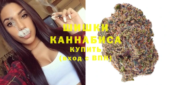 молекула духа Горнозаводск