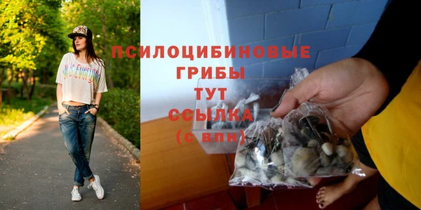 первитин Горно-Алтайск