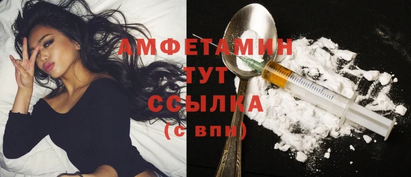 молекула духа Горнозаводск