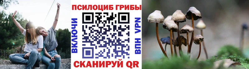 Псилоцибиновые грибы ЛСД  Купить закладки  Макушино 